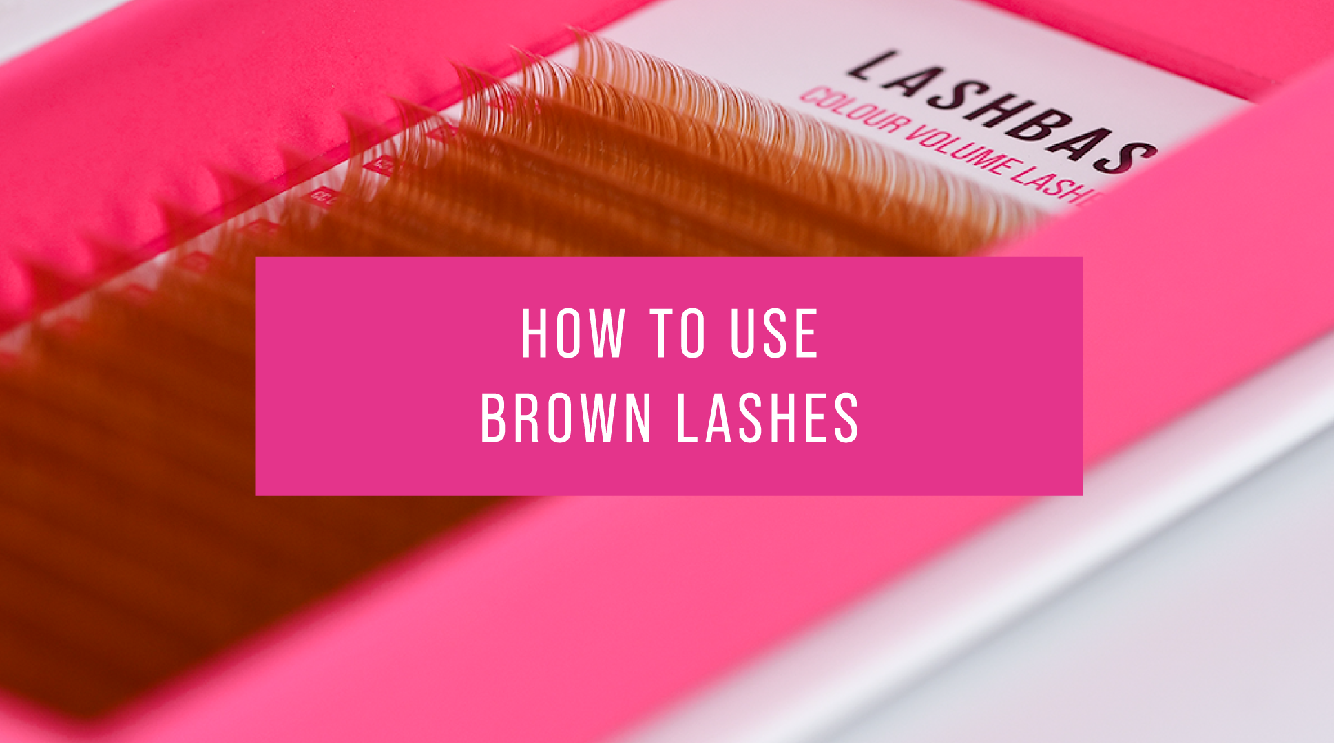 How to use Brown Lashes Lash Education LashBase