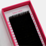 Colour Lashes - Dark Brown 0.15mm - False Eyelashes - LashBase Limited