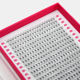 10D Mega Volume Fans - XXL Tray - False Eyelashes - LashBase Limited