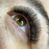 10D Pro Mades Tray Lash Sets