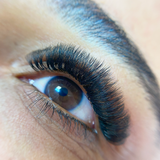 10D Ultra Narrow Fans - False Eyelashes - LashBase Limited