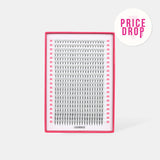 12D Mega Volume Fans – XXL Tray - False Eyelashes - LashBase Limited