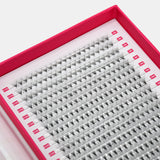 12D Mega Volume Fans – XXL Tray - False Eyelashes - LashBase Limited