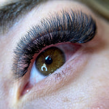 12D Pro Mades Tray Lash Sets