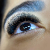 12D Ultra Narrow Fans - False Eyelashes - LashBase Limited