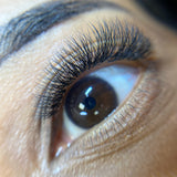 3D Pro Mades Lash Set