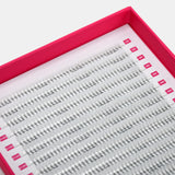 3D Volume Fans – XXL Tray - False Eyelashes - LashBase Limited