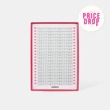 4D Volume Fans – XXL Tray - False Eyelashes - LashBase Limited