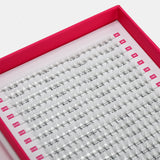 4D Volume Fans – XXL Tray - False Eyelashes - LashBase Limited