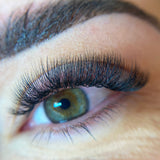 4D Ultra Narrow Fans - False Eyelashes - LashBase Limited