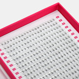 5D Volume Fans – XXL Tray - False Eyelashes - LashBase Limited