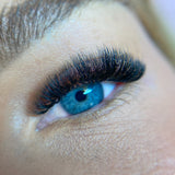 5D Ultra Narrow Fans - False Eyelashes - LashBase Limited