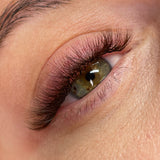 6D Third Generation Browns Volume Fans