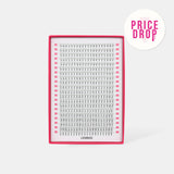 6D Volume Fans – XXL Tray - False Eyelashes - LashBase Limited