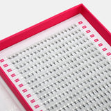 6D Volume Fans – XXL Tray - False Eyelashes - LashBase Limited