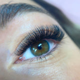 6D Ultra Narrow Fans - False Eyelashes - LashBase Limited