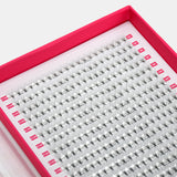 7D Mega Volume Fans – XXL Tray - False Eyelashes - LashBase Limited