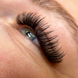 7D Wispy Lashes - False Eyelashes - LashBase Limited