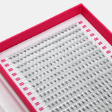 8D Mega Volume Fans – XXL Tray - False Eyelashes - LashBase Limited