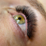 8D Pro Mades Tray Lash Sets