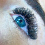 8D Ultra Narrow Fans - False Eyelashes - LashBase Limited