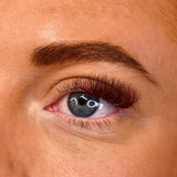 NEW Colour Lashes - Burgundy - False Eyelashes - LashBase Limited