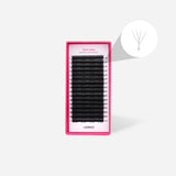 Clover Lashes - False Eyelashes - LashBase Limited