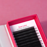 Clover Lashes - False Eyelashes - LashBase Limited