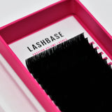 Easy Fan Lashes - False Eyelashes - LashBase Limited