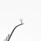 4D Flat Pro Made Fans - False Eyelashes - LashBase Limited