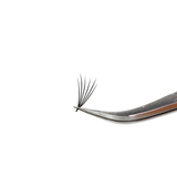 6D Flat Pro Made Fans - Camellia - False Eyelashes - LashBase Limited