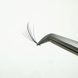 7D Wispy Lashes - False Eyelashes - LashBase Limited