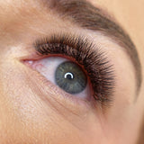 LBX Collection Volume Lashes 0.07mm - False Eyelashes - LashBase Limited
