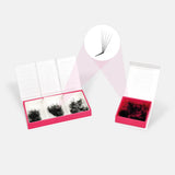 L Curl 5D Pro Mades - 750/1000 Fans - False Eyelashes - LashBase Limited