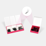 6D Pro Mades - 750/1000 Fans - False Eyelashes - LashBase Limited