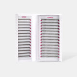 Pro Made Selection Box - - LashBase Limited
