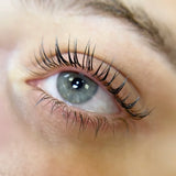 Lifted. Round Shields - Singles - Lifted. - LashBase Limited