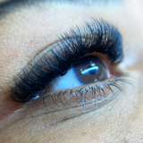 10D Third Generation Volume Fans - False Eyelashes - LashBase Limited