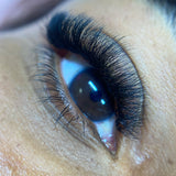 8D Third Generation Volume Fans - False Eyelashes - LashBase Limited