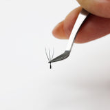 W Lashes - False Eyelashes - LashBase Limited