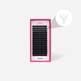 WW Lashes - False Eyelashes - LashBase Limited