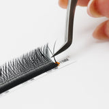 YY Lashes - False Eyelashes - LashBase Limited