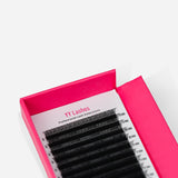 YY Lashes - False Eyelashes - LashBase Limited