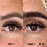 Third Generation Volume Fans - 12D 5 Week Retention