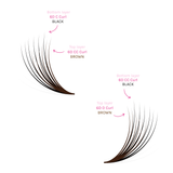 Double Layer Volume Fans - Black / Brown - False Eyelashes - LashBase Limited