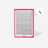 Double Layer Volume Fans - Black / Brown - False Eyelashes - LashBase Limited