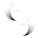 Double Layer Volume Fans - False Eyelashes - LashBase Limited