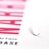 7D Narrow Fans - 700 Fans - Lashes - LashBase Limited