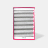 4D Narrow Fans - 900 Fans - Lashes - LashBase Limited
