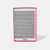 6D Narrow Fans - 900 Fans - Lashes - LashBase Limited